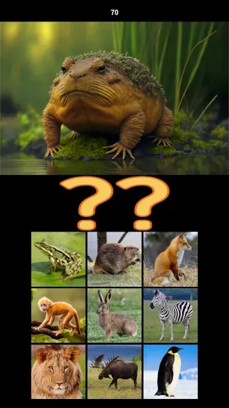 Hybrid Animals Crazy Lab Quiz (Хибридные животные Сумасшедшая лаборатория Викторина)  [МОД Меню] Screenshot 4