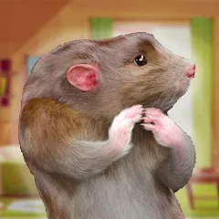 Взлом Rat Game & Mouse Simulator (Рат Лайф)  [МОД Много монет] - полная версия apk на Андроид