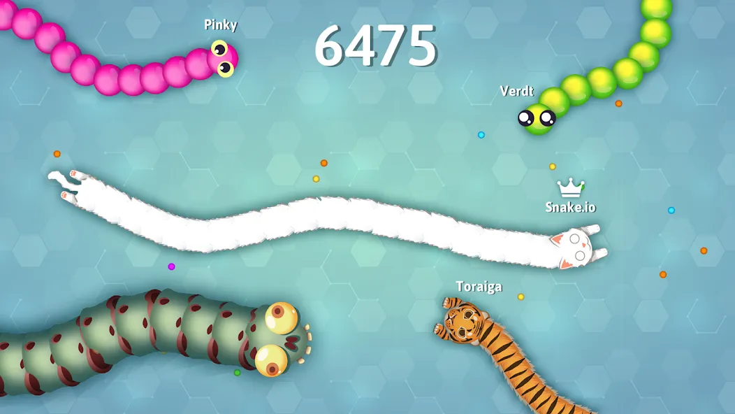 Snake.io - Fun Snake .io Games  [МОД Unlocked] Screenshot 5