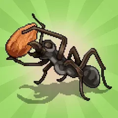 Взломанная Pocket Ants: Colony Simulator (Покет Муравьи)  [МОД Unlimited Money] - последняя версия apk на Андроид