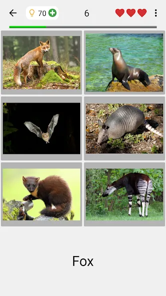 Animals Quiz Learn All Mammals  [МОД Много денег] Screenshot 2