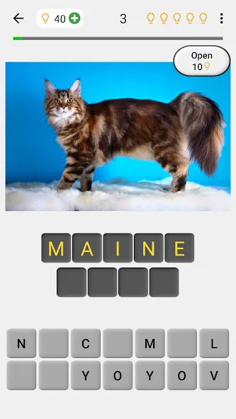 Cats Quiz Guess Popular Breeds  [МОД Много монет] Screenshot 1