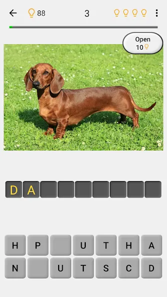 Dogs Quiz - Guess All Breeds!  [МОД Все открыто] Screenshot 2