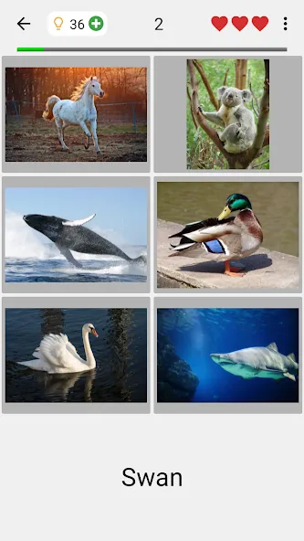 Guess Pictures and Words Quiz  [МОД Unlocked] Screenshot 2