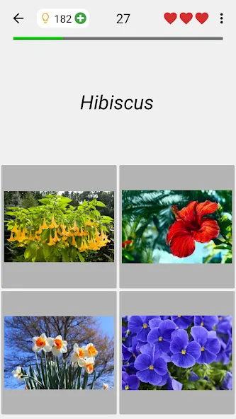 Flowers Quiz - Identify Plants  [МОД Много монет] Screenshot 4