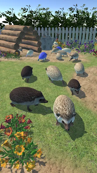 Hedgehog Friends (Хеджхог Френдс)  [МОД Unlimited Money] Screenshot 3