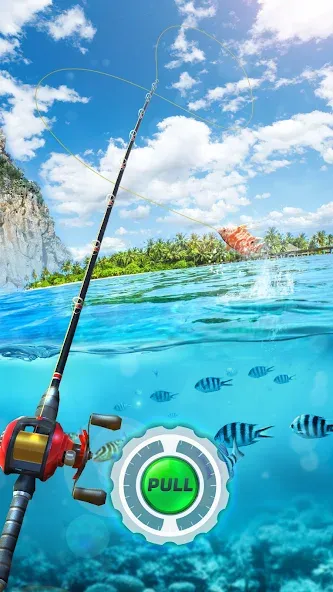 Fishing Rival 3D (Фишинг Ривал 3Д)  [МОД Mega Pack] Screenshot 1