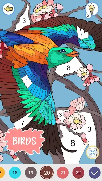 Color by Number: Coloring Book  [МОД Много монет] Screenshot 4