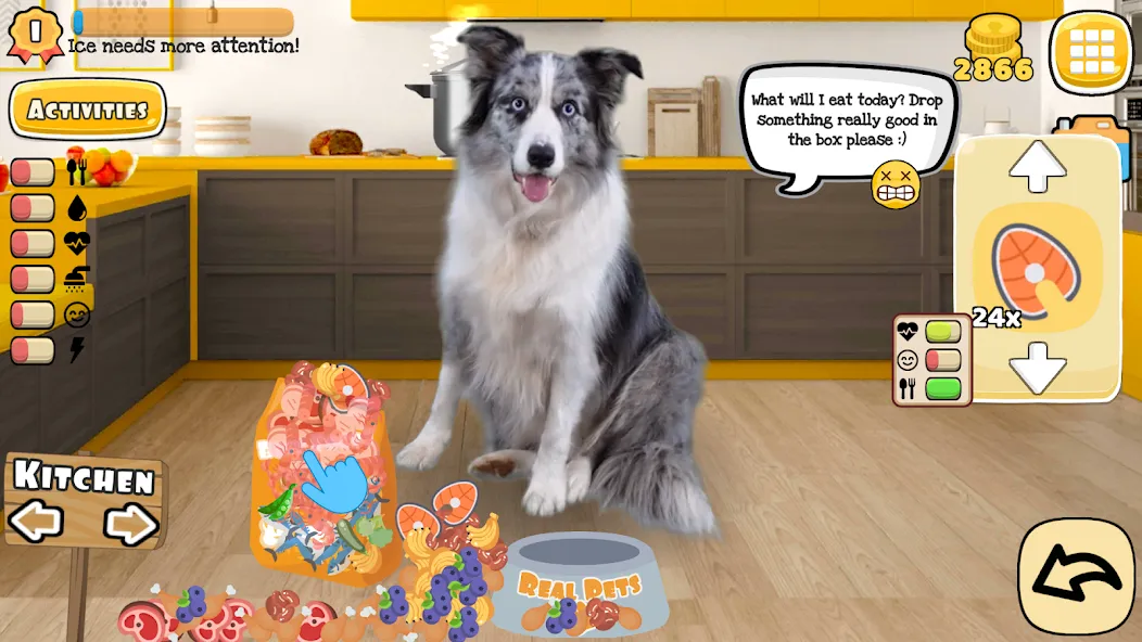 Adopt a pet : Corgi Games (Риал Петс бай Фруви)  [МОД Menu] Screenshot 1