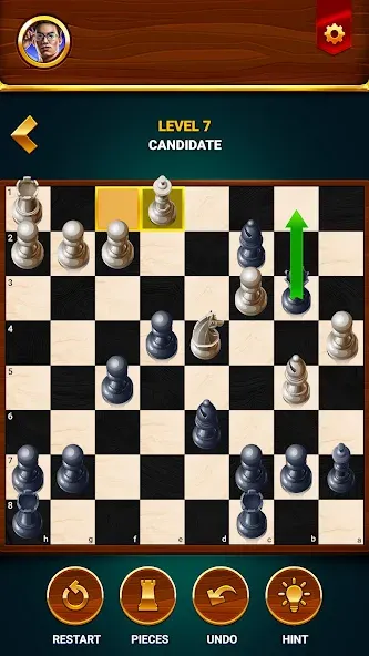 Chess - Offline Board Game  [МОД Бесконечные деньги] Screenshot 5