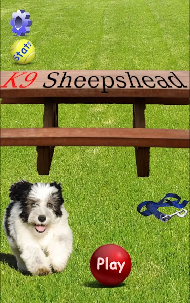 K9 Sheepshead (Schafkopf) (Шипсхед)  [МОД Unlimited Money] Screenshot 1