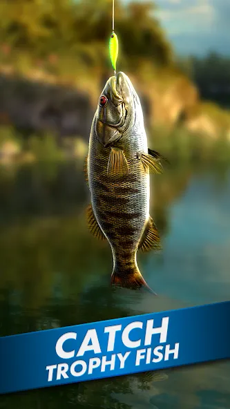 Ultimate Fishing! Fish Game  [МОД Unlimited Money] Screenshot 1