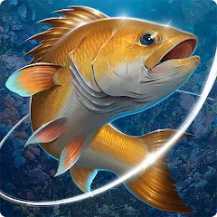 Скачать взлом Fishing Hook  [МОД Unlimited Money] - стабильная версия apk на Андроид