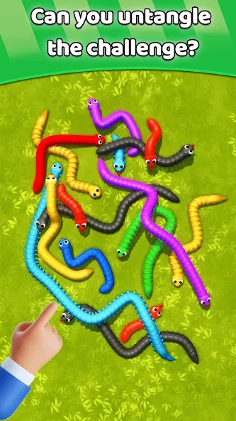 Tangled Snakes Puzzle Game (Танглед Снейк 3Д)  [МОД Menu] Screenshot 5