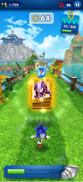 Sonic Dash - Endless Running (Соник Дэш)  [МОД Много монет] Screenshot 4