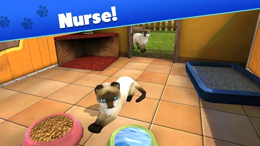 Pet World - My Animal Shelter (Пет Ворлд)  [МОД Меню] Screenshot 3