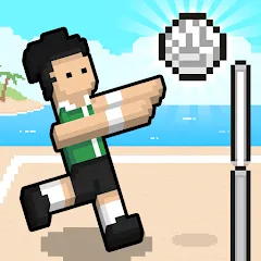 Взломанная Volley Random (Воллей Рэндом)  [МОД Unlocked] - полная версия apk на Андроид