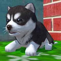 Взлом Cute Pocket Puppy 3D (Сьют Покет Паппи 3Д)  [МОД Unlimited Money] - полная версия apk на Андроид