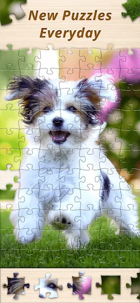 Jigsaw Premium Puzzles HD (Джигсоу)  [МОД Бесконечные монеты] Screenshot 5