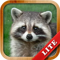 Взломанная Animals for Kids  [МОД Бесконечные деньги] - последняя версия apk на Андроид